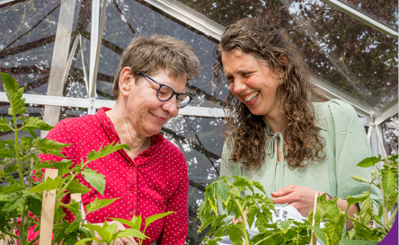 Omschrijving van afbeelding(nog in te vullen)