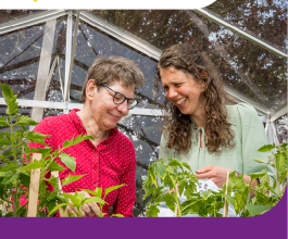 Omschrijving van afbeelding(nog in te vullen)
