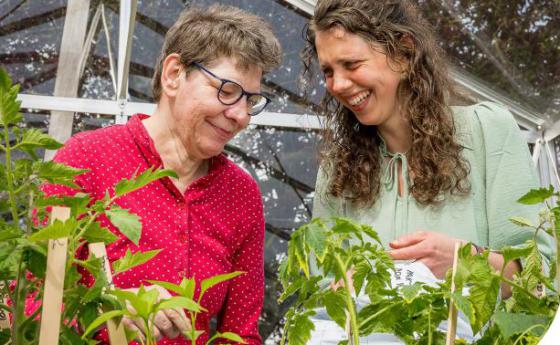 Omschrijving van afbeelding(nog in te vullen)