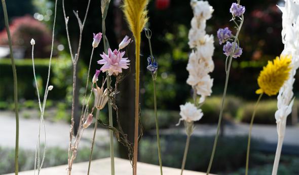 Rozelaar hoofdlocatie