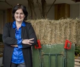 Omschrijving van afbeelding(nog in te vullen)