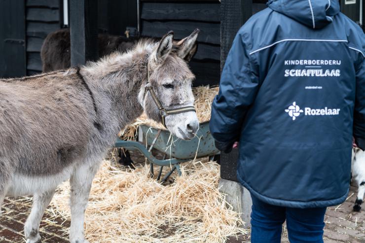 Omschrijving van afbeelding(nog in te vullen)